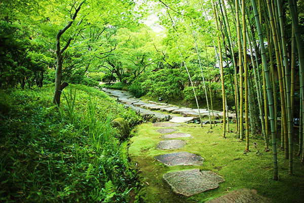 八幡市観光協会