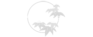 Access