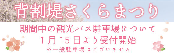 背割堤さくらまつりバス予約受付